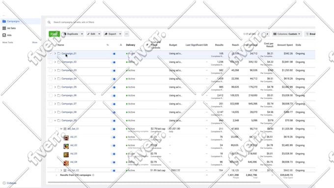 be your premium facebook ads manager