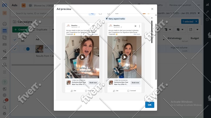 setup and manage the facebook ads campaigns