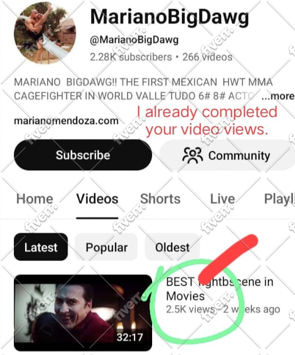 do advance youtube video promotion to complete channel monetization