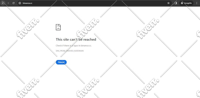 build websites, webportals in PHP, wordpress