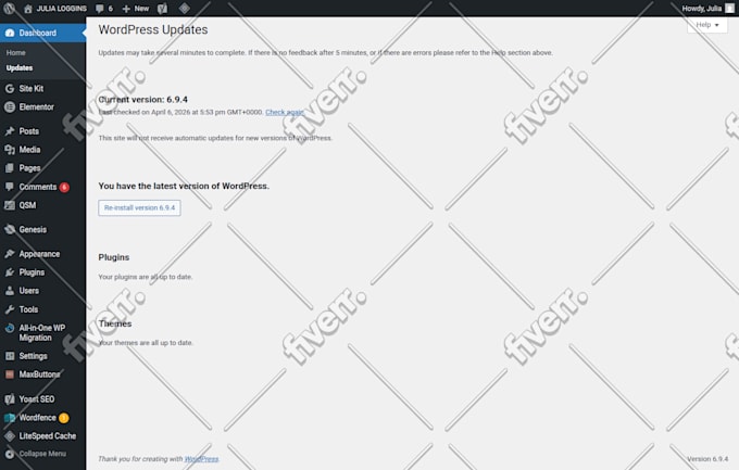 fix wordpress issues, error or update wordpress website