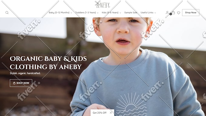 create shopify store, design custom shopify website and fix bugs