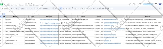 do any type of excel data entry, copy paste and web research