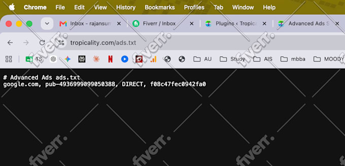 fix ads txt errors and adsense problems on any website