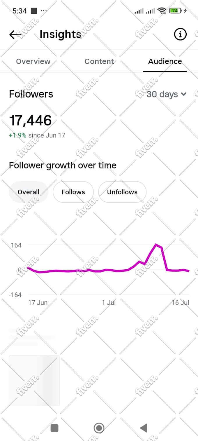 be your instagram marketing manager and content creator
