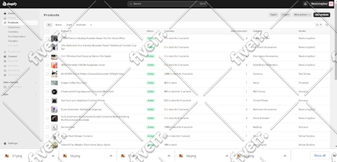 manage shopify, wordpress store, upload products, update inventory