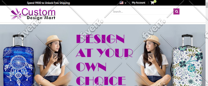 build shopify dropshipping store create shopify website
