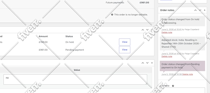 fix bugs, errors and provide wordpress and woocommerce help