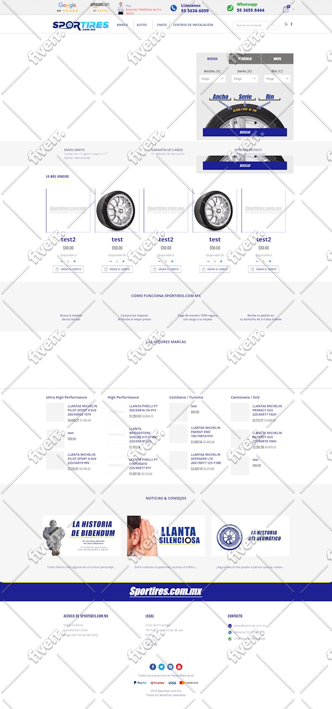 design and develop professional magento store