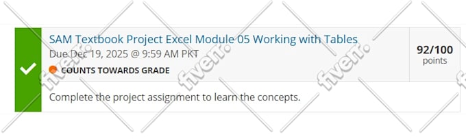 do your microsoft excel ,ms word assignments, project and modules urgently