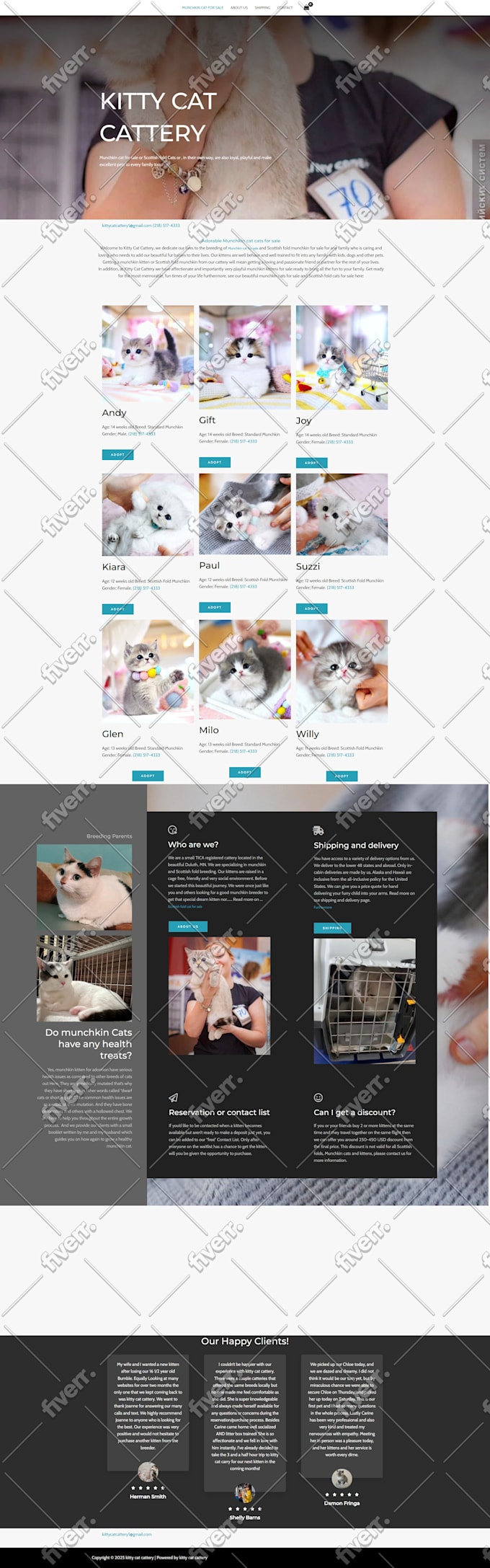do any wordpress website development and design