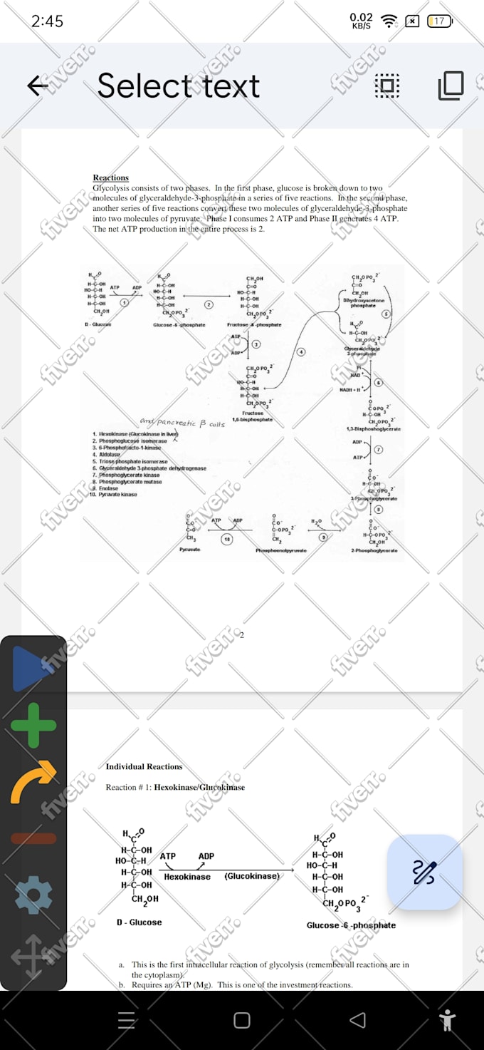 tutor you anatomy biochemistry and physiology