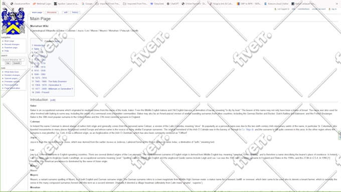 build, fix, and customize your wordpress, shopify, HTML CSS javascript website