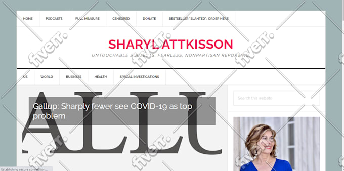 do wordpress bugs fix and woocommerce customization