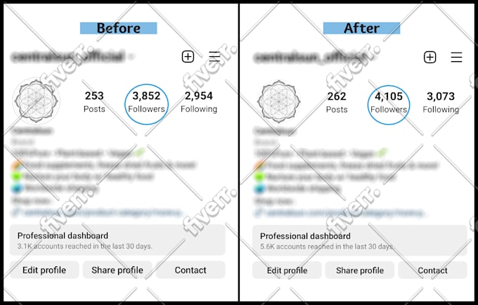 do super fast organic instagram growth