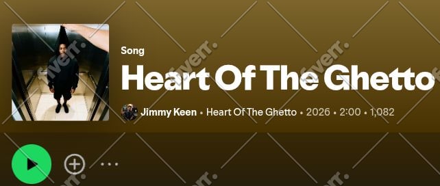 do professional spotify music promotion