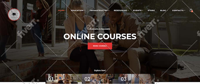 do professional wordpress customization and modification