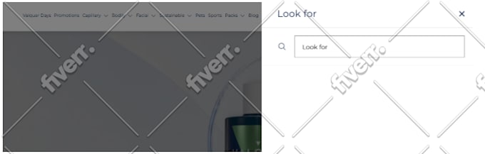 do wordpress website, design or redesign wordpress blog website development