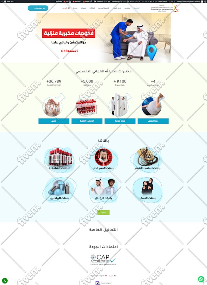 provide professional wordpress maintenance and technical support