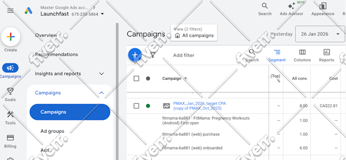 audit, set up, optimize and manage google ads PPC