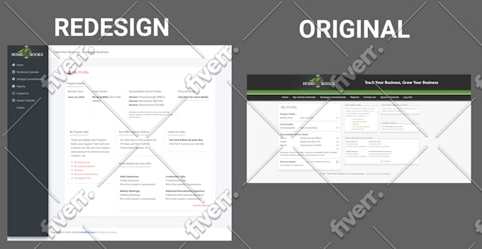 redesign revamp clone and update existing websites for better performance