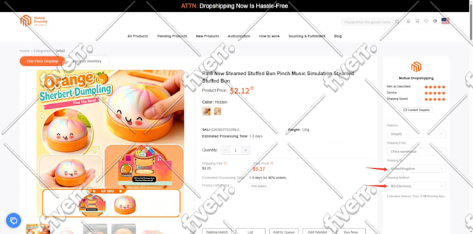 develope your professional dropshipping shopify store