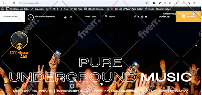 fix wordpress critical errors, issues, and bugs urgently