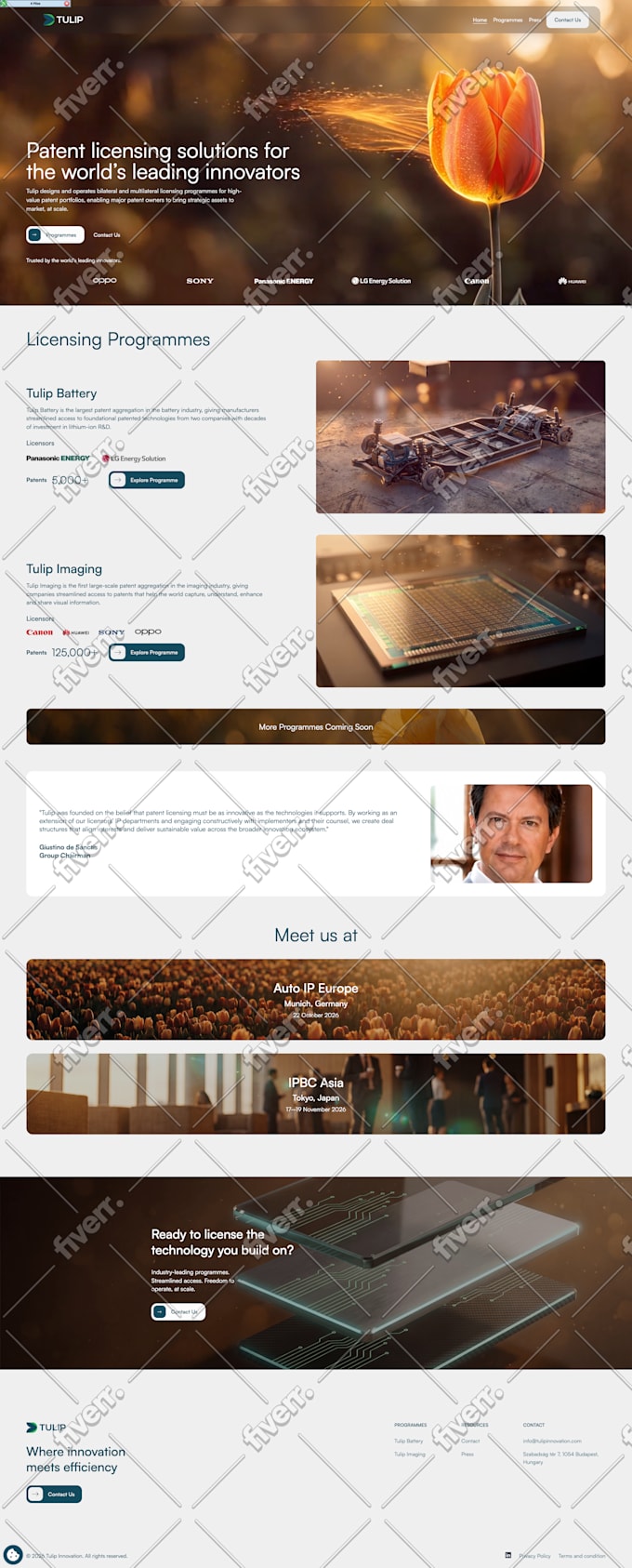 design or redesign a professional webflow website for your business