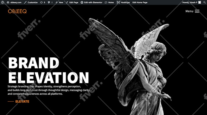 fix wordpress issues, demo import, customize themeforest envato theme, elementor