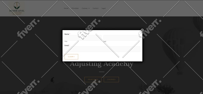 build responsive wordpress website, ecommerce or elementor landing page