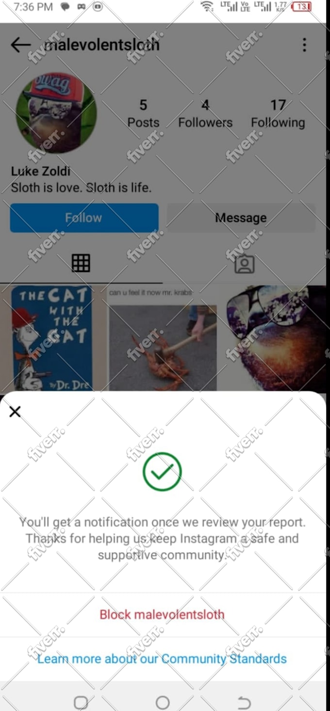 remove stolen content with dmca takedown from google, reddit, instagram, website