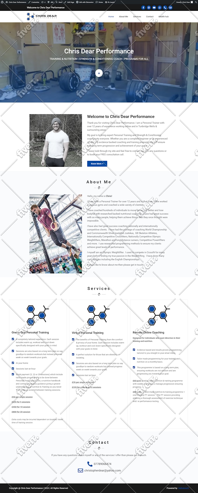 create an attractive  wordpress website with elementor pro
