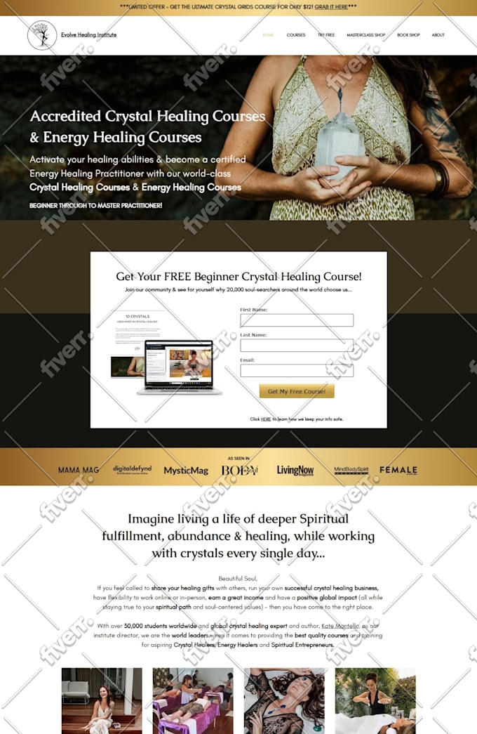 do shopify website development, shopify wholesale store, shopify store, shopify