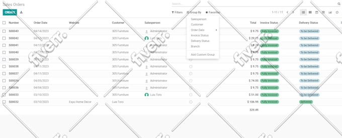 do odoo customization as per your requirement