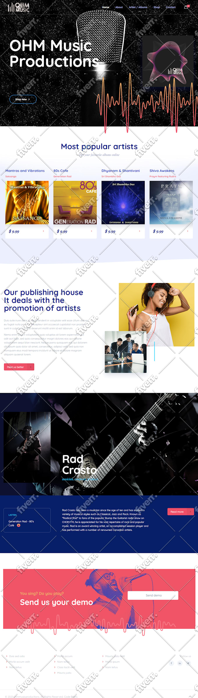 make a website on wordpress for you