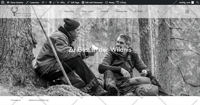 redesign wordpress website, design wordpress, elementor website development