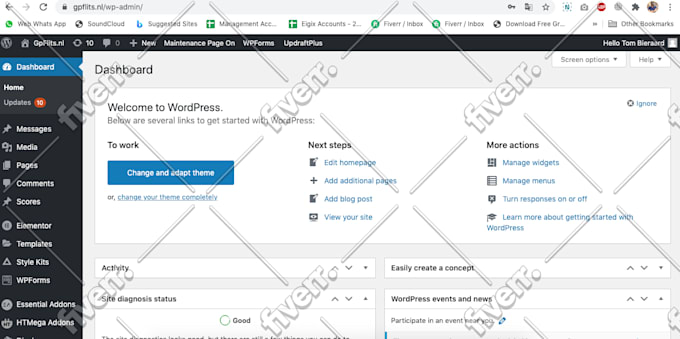 solve database problem, complex sql queries, and wordpress mysql errors