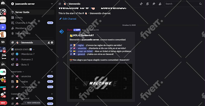 do discord server setup for you