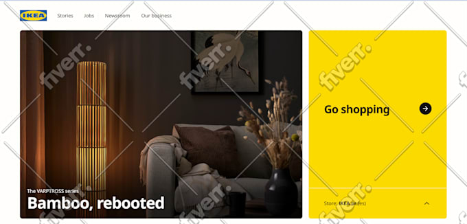 do professional website design and development on framer