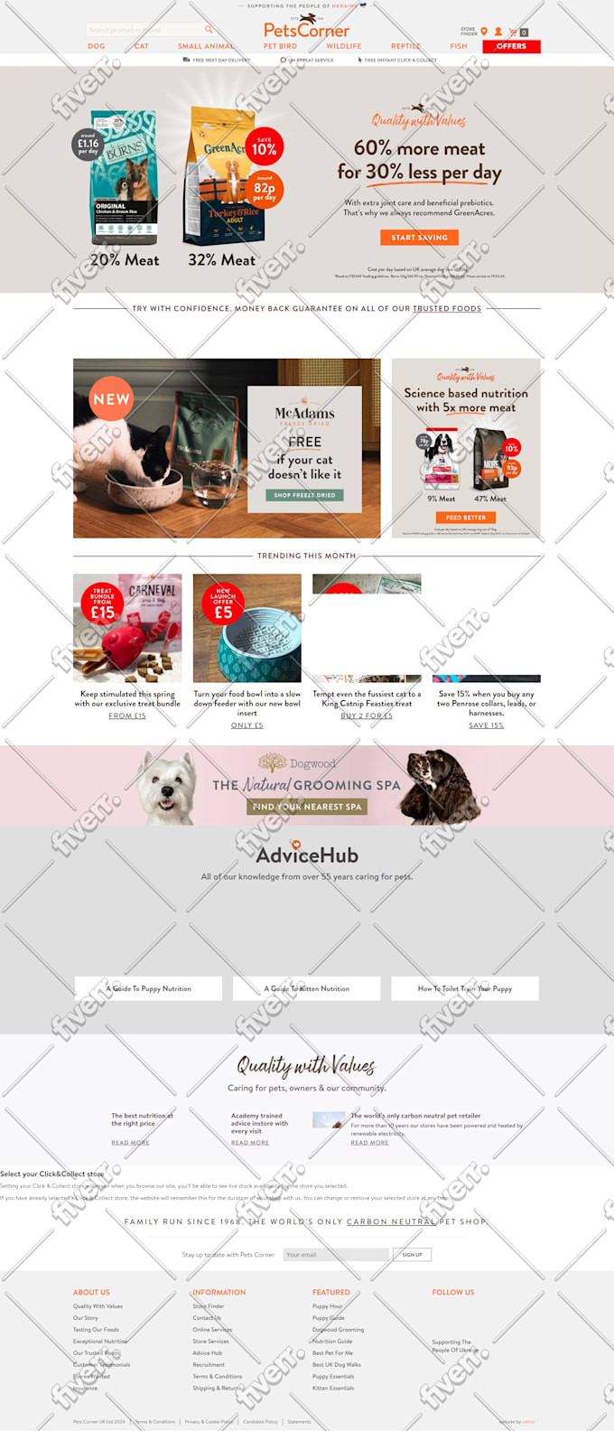do shopify SEO to improve shopify sales and shopify ranking