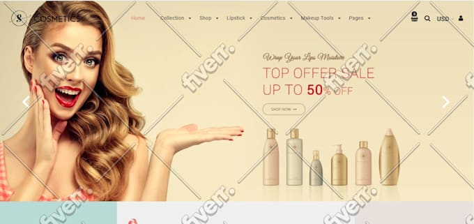 build professional shopify dropshipping store or shopify website, shopify store