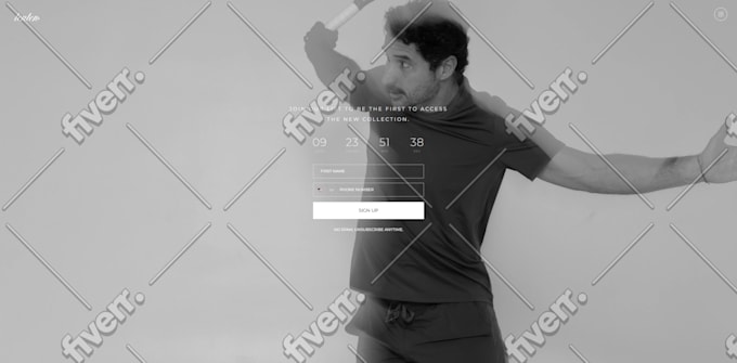 change and upgrade shopify theme and customization shopify store