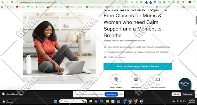 do shopify custom coding or bug fixing and customization