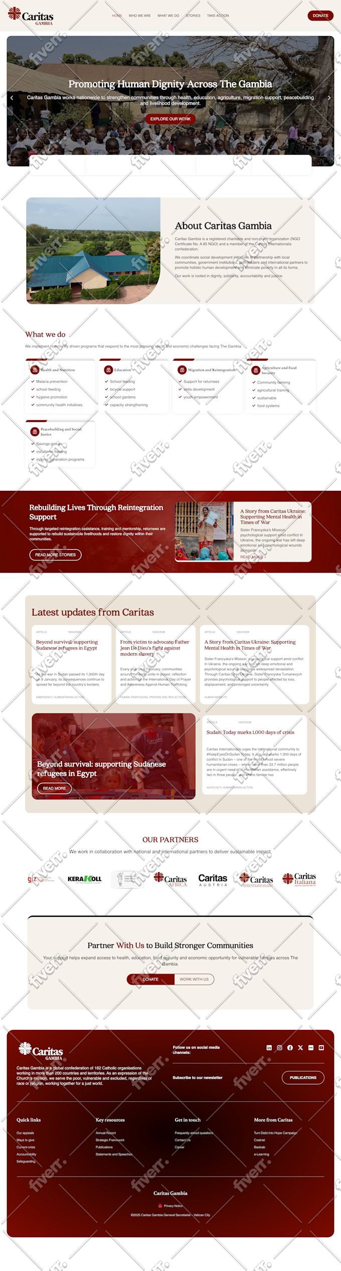 design, redesign, build and revamp wordpress website with elementor pro