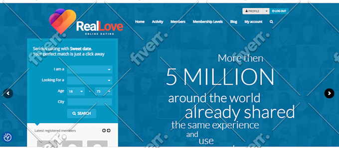 create wordpress  landing page or website design for cpa marketing