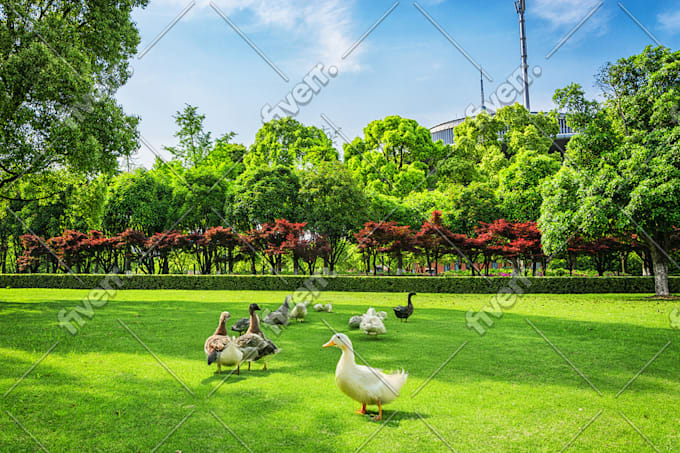 transform your photos with photoshop ai generative fill