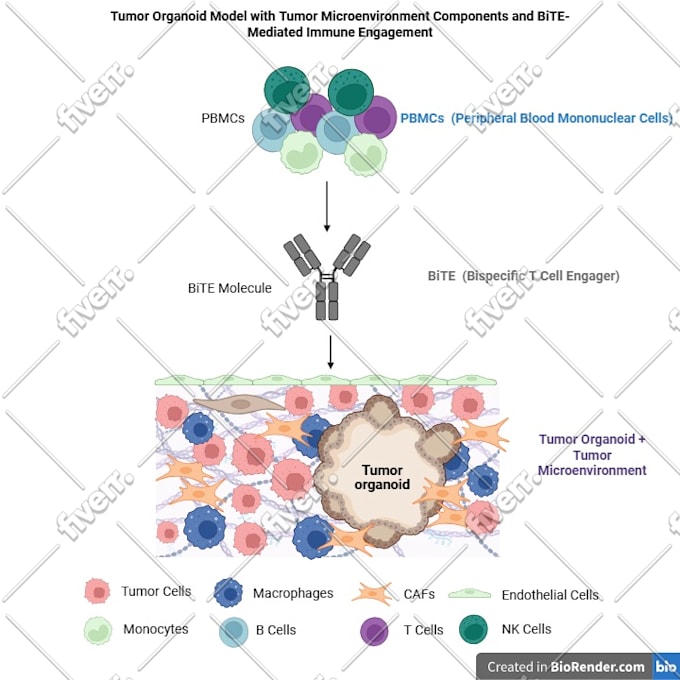 design your scientific and medical figures on biorender