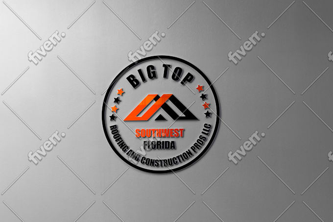 design a professional brand logo design