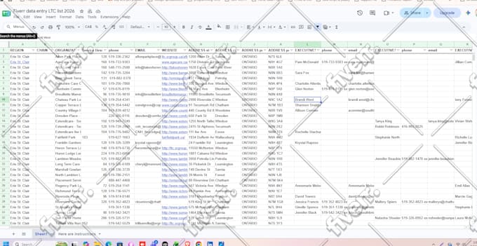 do accurate data entry, web research and copy paste task