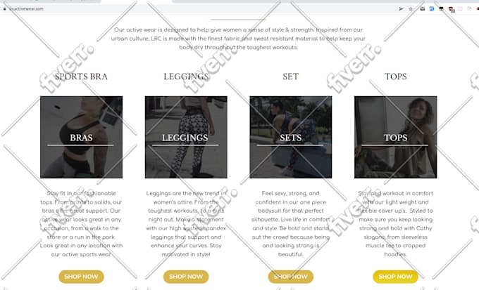create bespoke woocommerce website or fix issues